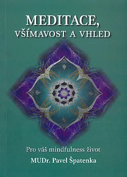 Meditace, všímavost a vhled