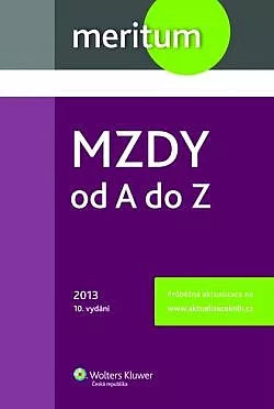 Mzdy od A do Z 2013