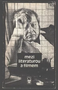 Mezi literaturou a filmem