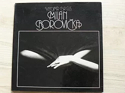 Milan Borovička
