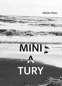 Miniatury