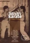 Mistři karate