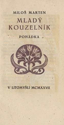 Mladý kouzelník: Pohádka