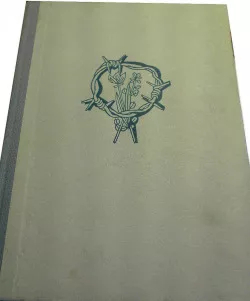 Modré skály