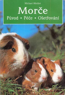 Morče