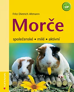Morče: Společenské, milé, aktivní
