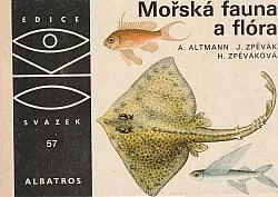Mořská fauna a flóra