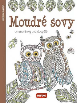 Moudré sovy: Omalovánky pro dospělé