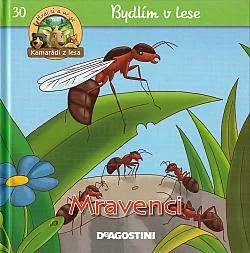 Mravenci