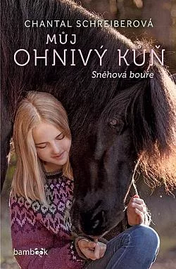 Sněhová bouře
