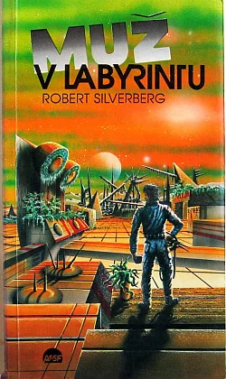 Muž v labyrintu