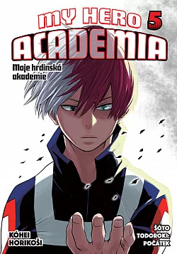 Šóto Todoroki: Počátek