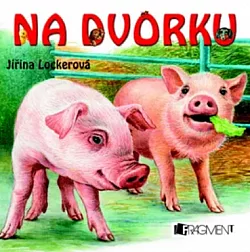 Na dvorku