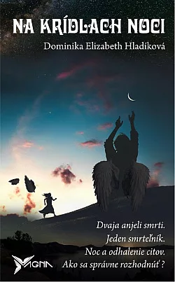 Na krídlach noci