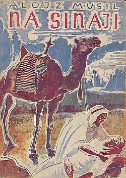 Na Sinaji