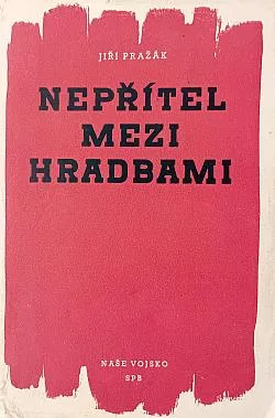 Nepřítel mezi hradbami