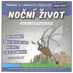 Noční život
