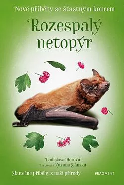 Rozespalý netopýr