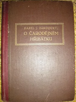 O čarodějném hřibátku
