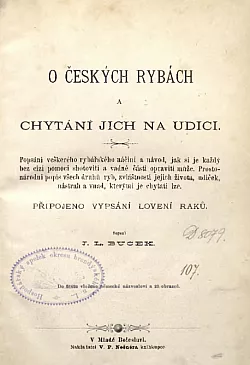 O českých rybách a chytání jich na udici
