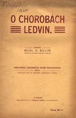 O chorobách ledvin