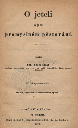 O jeteli a jeho průmyslném pěstování
