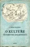 O kultuře prvobytné společnosti
