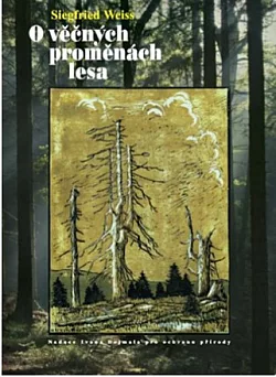 O věčných proměnách lesa