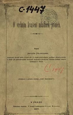 O vrchním kvašení mladinek pivních