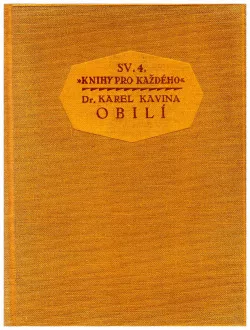 Obilí