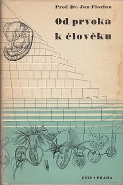 Od prvoka k člověku