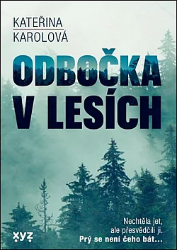 Odbočka v lesích