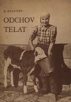 Odchov telat