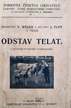 Odstav telat