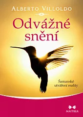 Odvážné snění