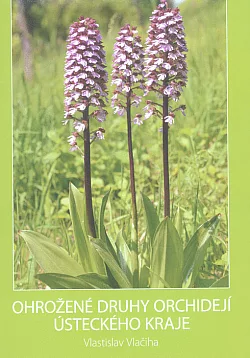 Ohrožené druhy orchidejí Ústeckého kraje