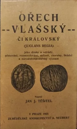 Ořech vlašský či královský
