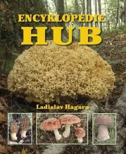 Ottova encyklopedie hub