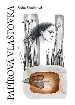 Papírová vlaštovka