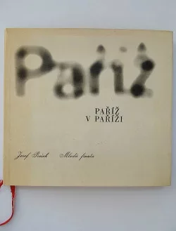 Paříž v Paříži