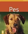 Pes