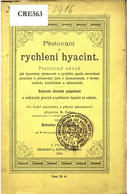 Pěstování a rychlení hyacint