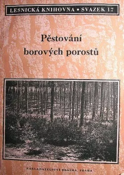 Pěstování borových porostů