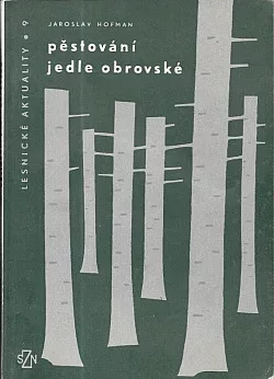 Pěstování jedle obrovské