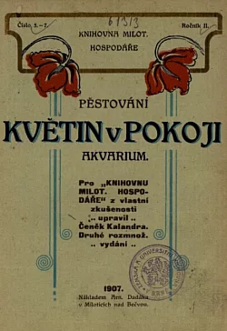 Pěstování květin v pokoji