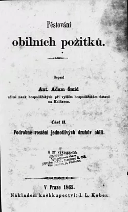 Pěstování obilních požitků Část II.