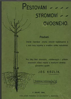Pěstování stromoví ovocného