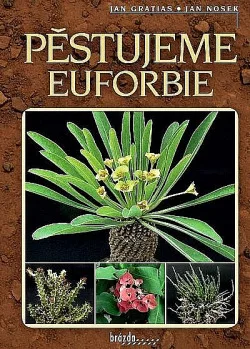 Pěstujeme euforbie