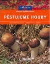 Pěstujeme houby