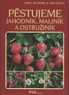 Pěstujeme jahodník, maliník a ostružiník